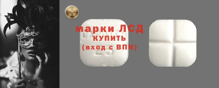 spice Волосово