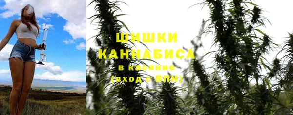 амф Инта