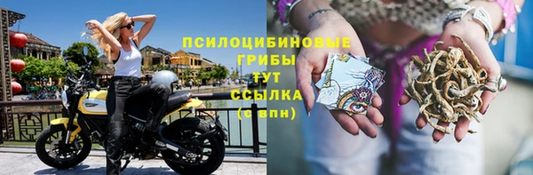 первитин Володарск