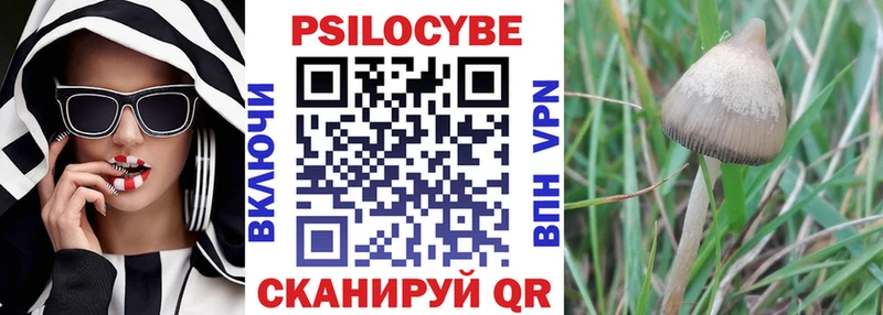 наркотики  Верхний Тагил  Галлюциногенные грибы Cubensis 